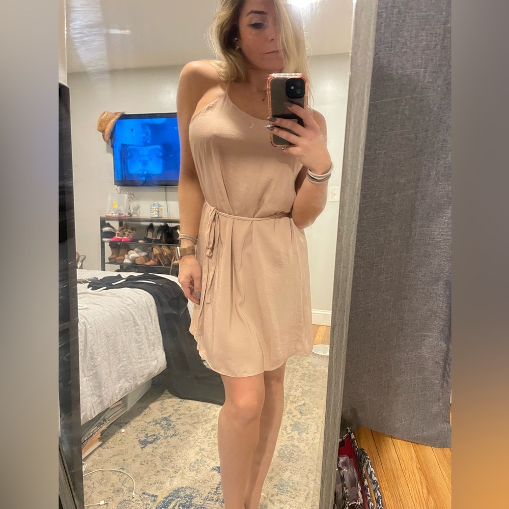 Naked zebra cute day dress